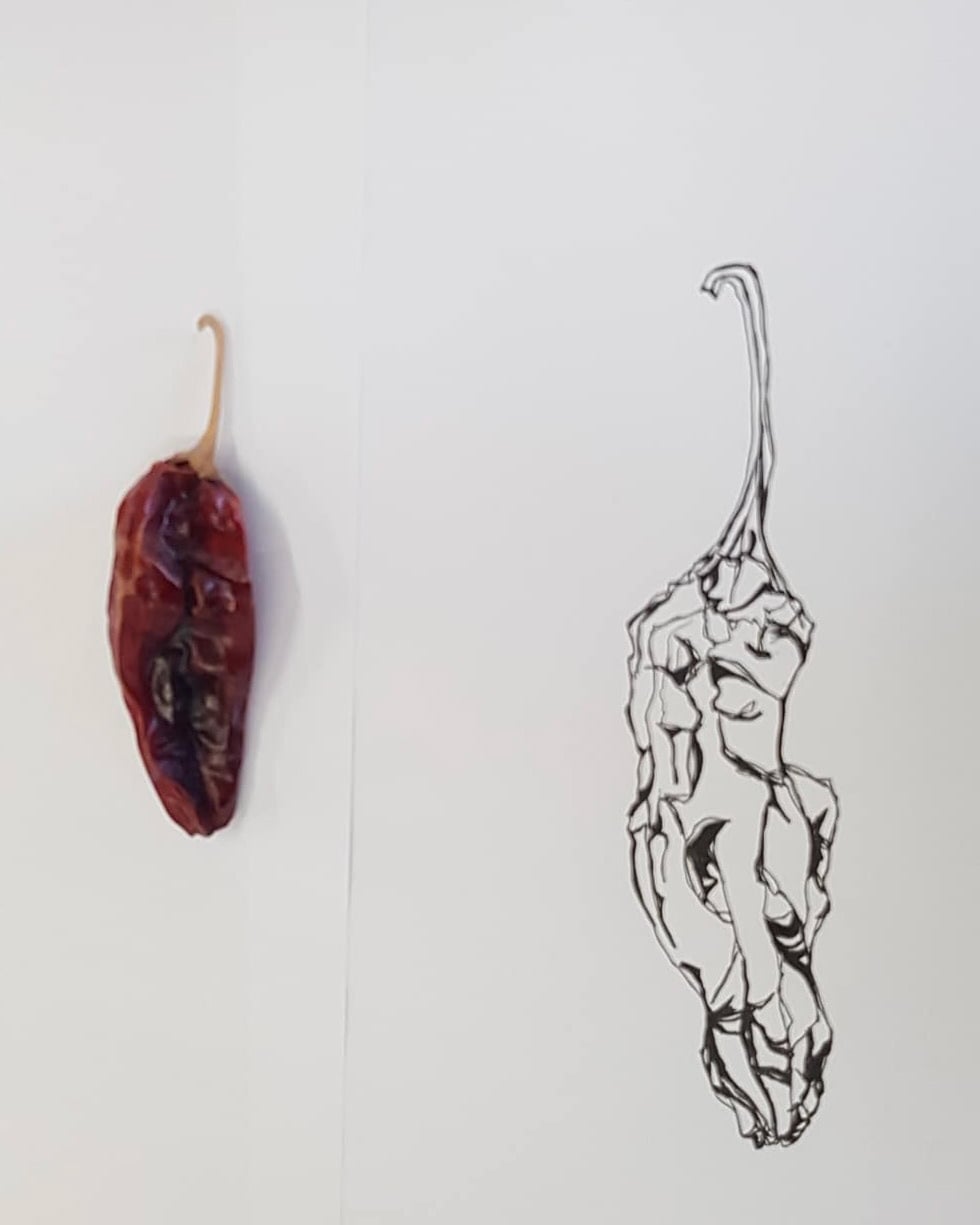 Misc. — collection image 14