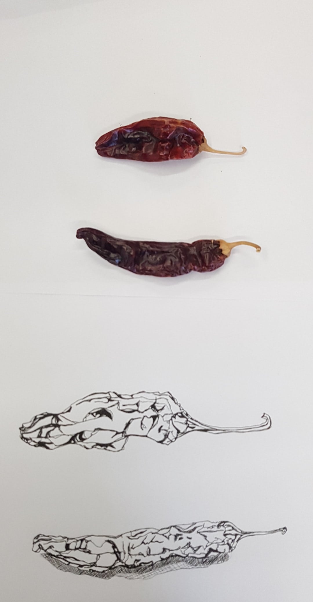 Misc. — collection image 15