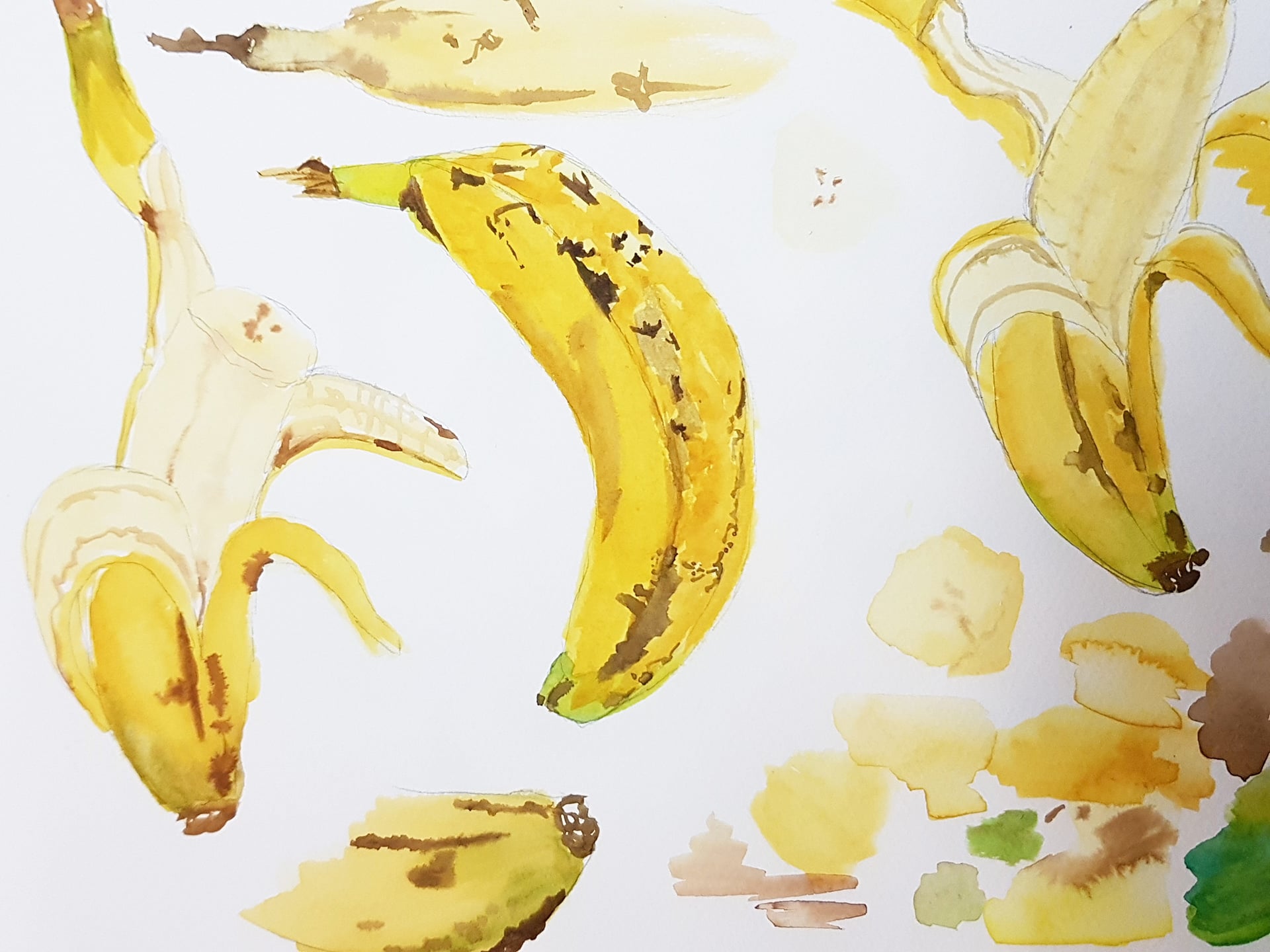 Misc. — collection image 20